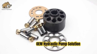 Parti della pompa Rexroth A10VG