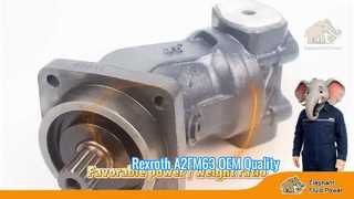 Vetrina veloce della spedizione di prezzo di fabbrica del motore fisso del pistone assiale di serie 6 di qualità dell'OEM A2FM63 Rexroth