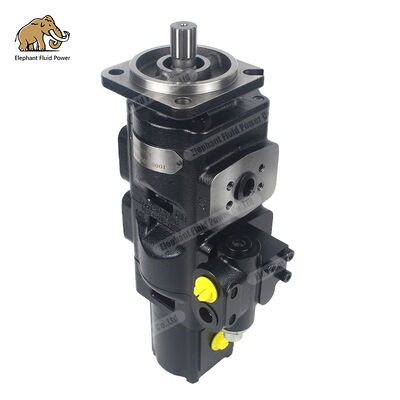 Compatibile con Parker 20/925732 Pompa di ingranaggi in ghisa.