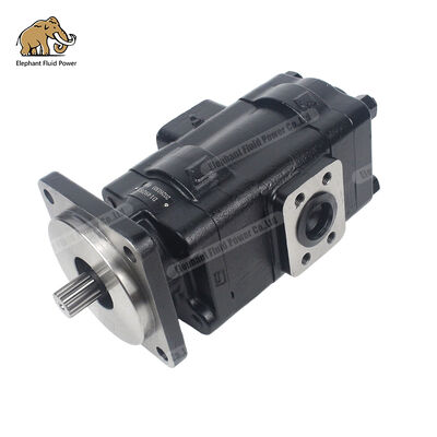 D149283 Parker Pompa di ingranaggi in ghisa Compatibile Alternativa Perfettamente Compatibile
